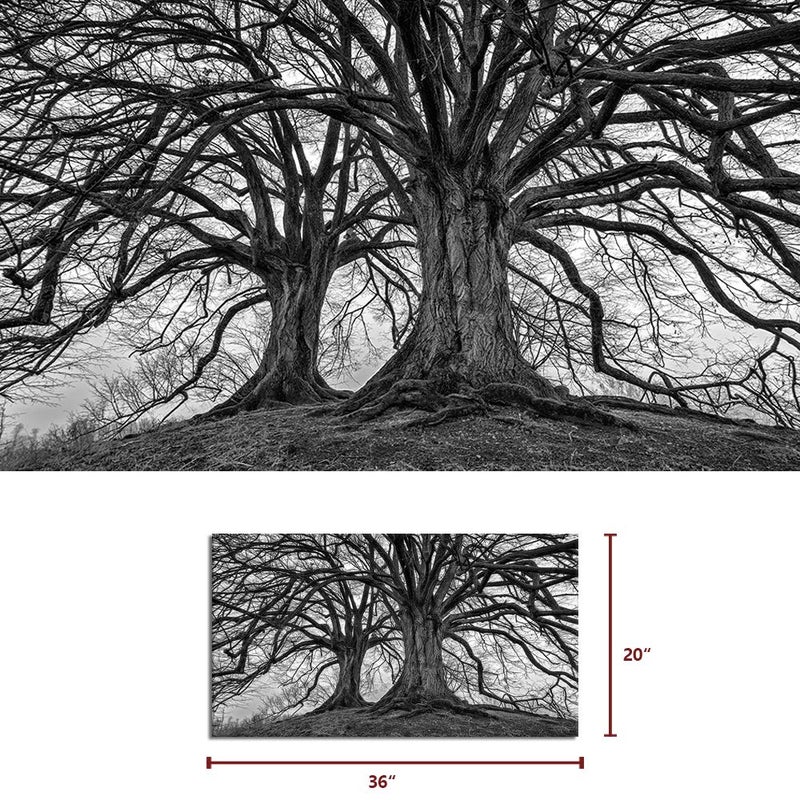Visual Art Decor Large Black and White Trees Canvas Wall Art Winter Oak Trees Branches Picture Nature Scenery Giclee Prints Framed and Stretched Premium Artwork for Home Living Room Bedroom - Image 5